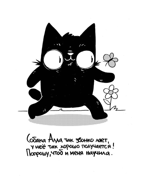 Как коту Димке мяукать надоело