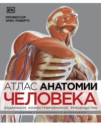 Атлас анатомии человека (DK). Подробное иллюстрированное руководство
