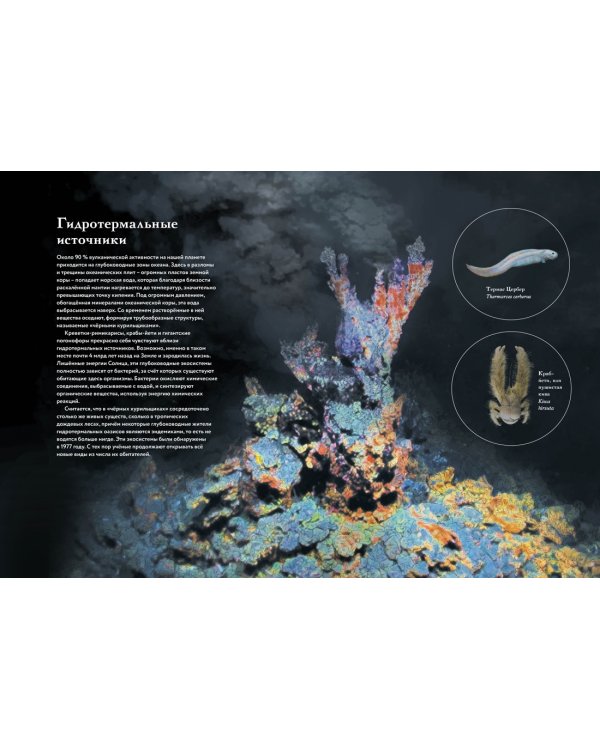 Океан и его обитатели
