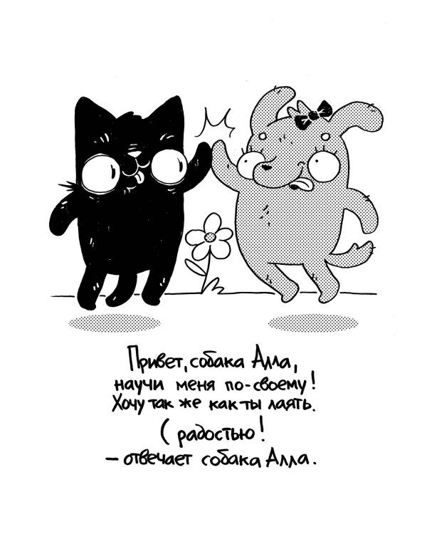 Как коту Димке мяукать надоело