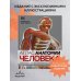 Анатомия человека. Самые лучшие анатомические атласы в мире Атлас анатомии человека (DK). Подробное иллюстрированное руководство