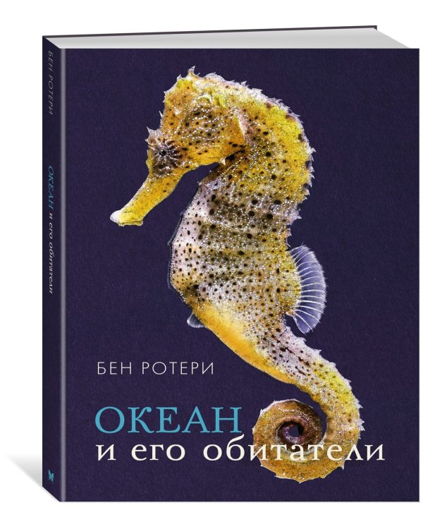 Океан и его обитатели