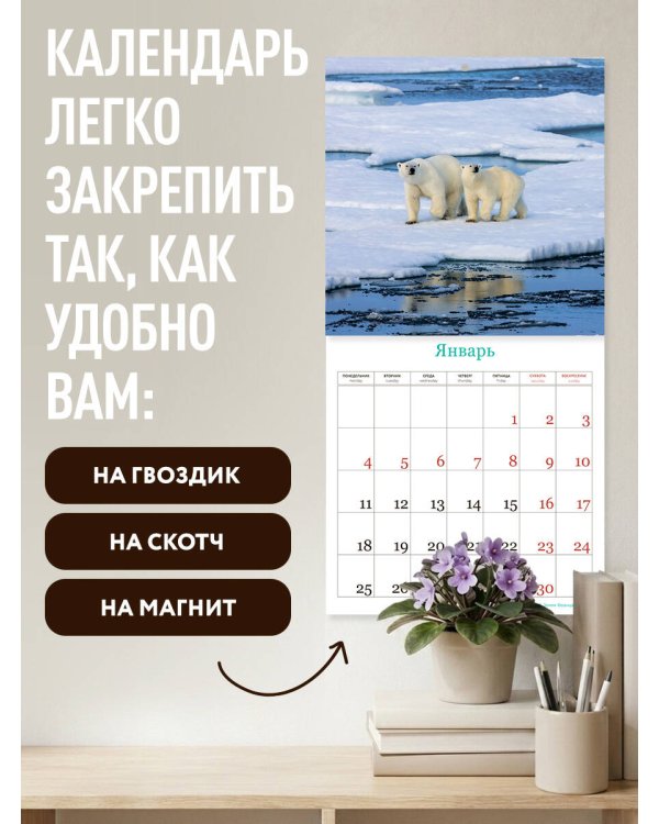 Дополнительное изображение книги «Русская природа. Календарь настенный на 16 месяцев на 2027 год (300х300 мм)»
