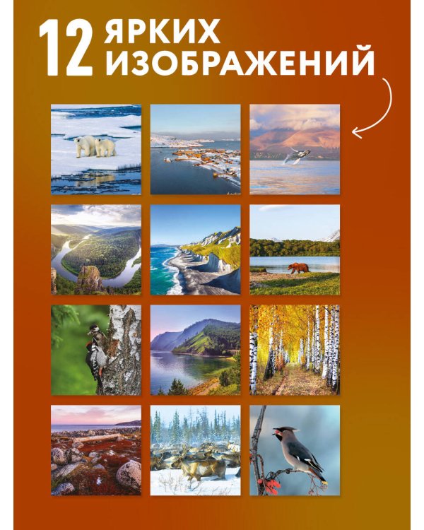 Дополнительное изображение книги «Русская природа. Календарь настенный на 16 месяцев на 2027 год (300х300 мм)»