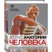 Анатомия человека. Самые лучшие анатомические атласы в мире Атлас анатомии человека (DK). Подробное иллюстрированное руководство