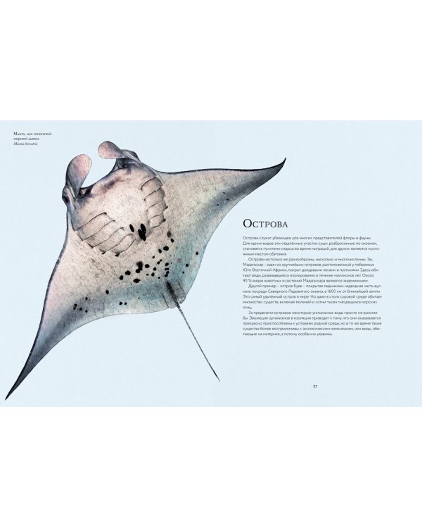 Океан и его обитатели