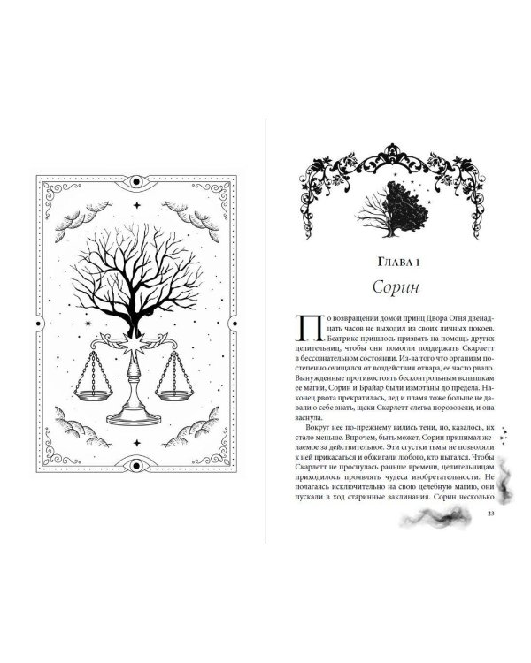 Дополнительное изображение книги «Леди теней (#2)»
