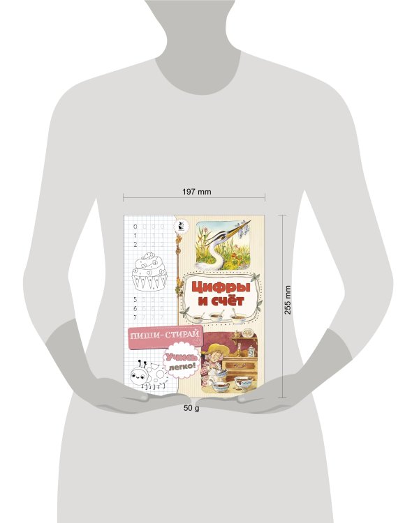 Цифры и счет