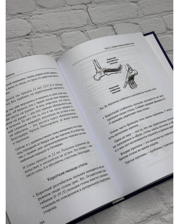 Анатомические меридианы. Почему лечить нужно печень, если болят плечи, как избавиться от боли в суставах и позвоночнике за несколько минут и найти ее истинную причину