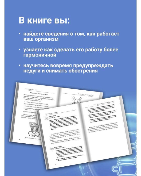 Анатомические меридианы. Почему лечить нужно печень, если болят плечи, как избавиться от боли в суставах и позвоночнике за несколько минут и найти ее истинную причину
