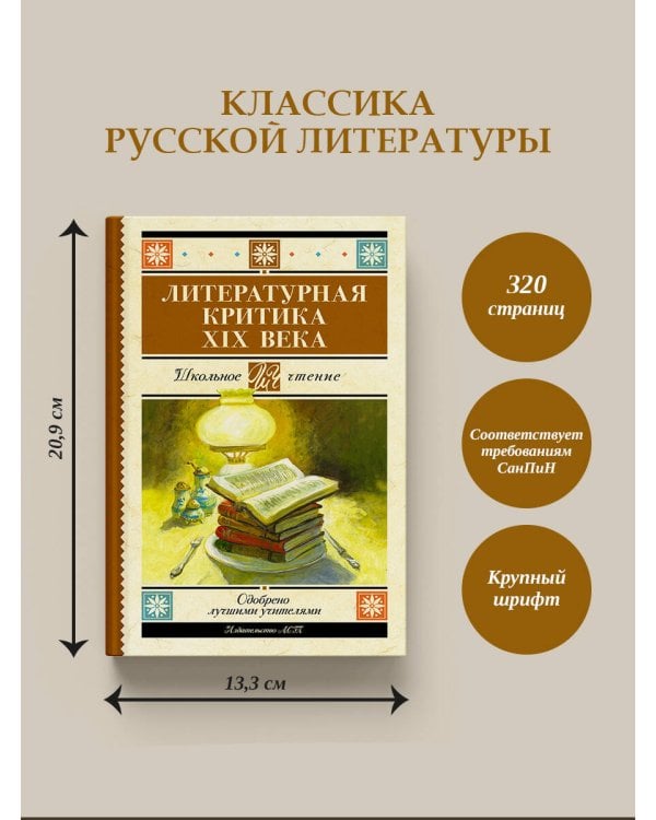 Литературная критика XIX вв.