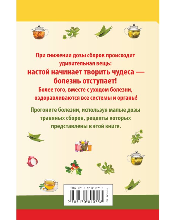 Дополнительное изображение книги «Когда настой начинает творить чудеса. Микрофитотерапия. Сенсационный Метод Ройзмана»
