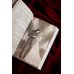 Дополнительное изображение книги «Избранница темного короля»
