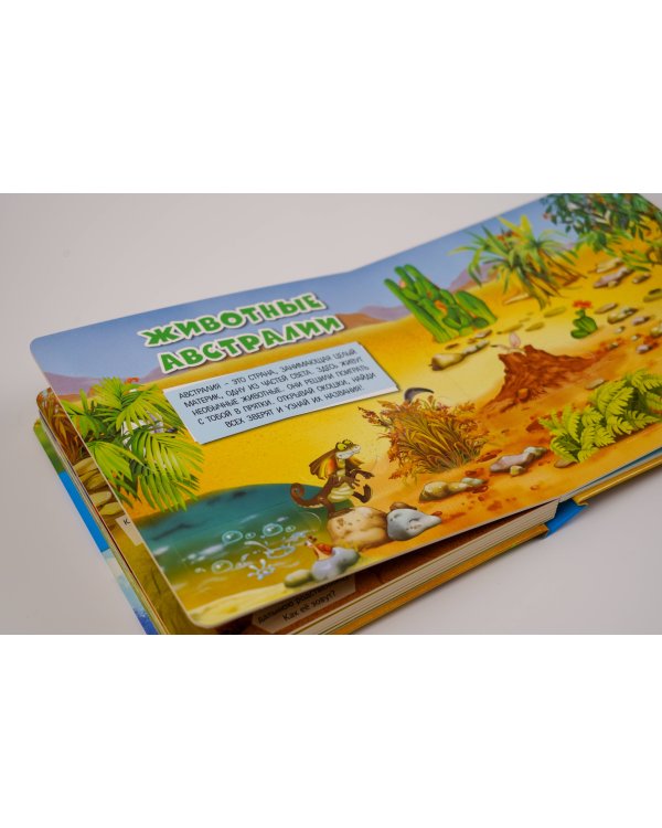 Моя первая книга с окошками