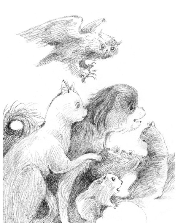 Кот Тихон и новые знакомые