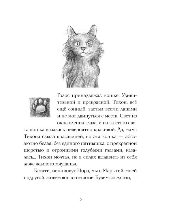 Кот Тихон и новые знакомые