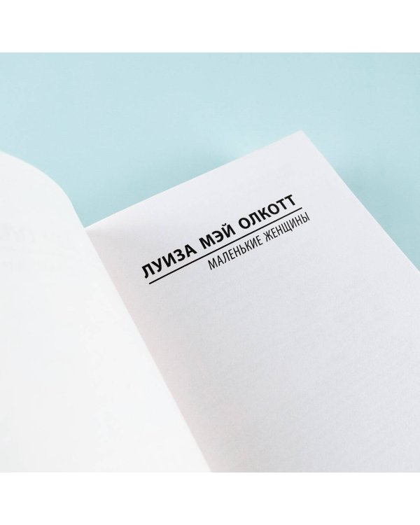 Маленькие женщины (новый перевод)