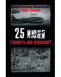 25 июня. Глупость или агрессия?