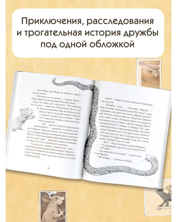 Кот Тихон и новые испытания