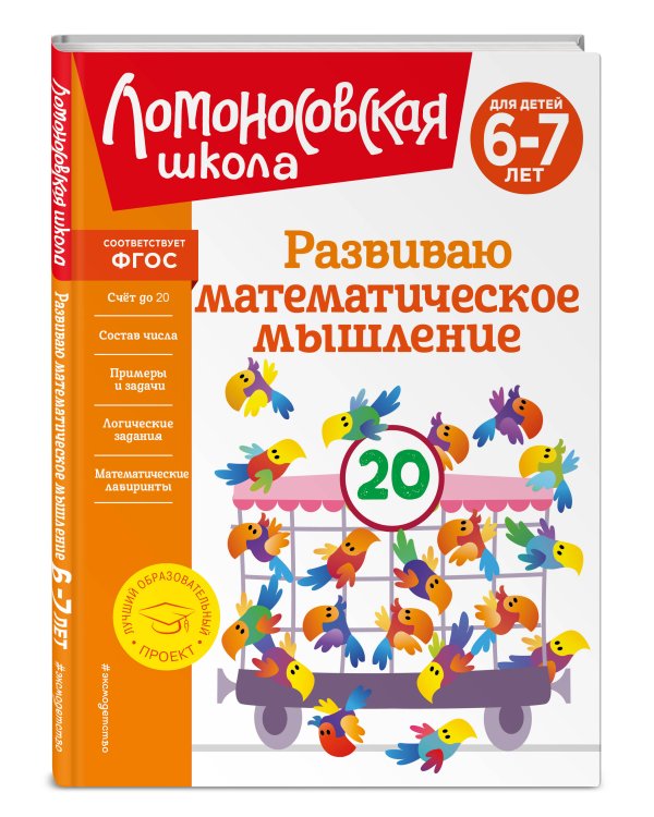 Развиваю математическое мышление: для детей 6-7 лет