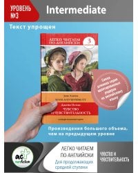 Чувство и чувствительность. Уровень 3