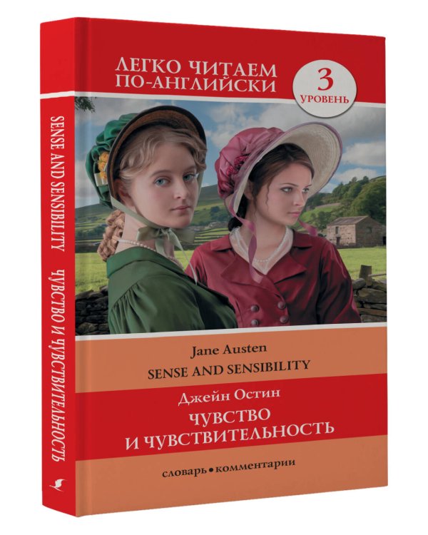 Чувство и чувствительность. Уровень 3