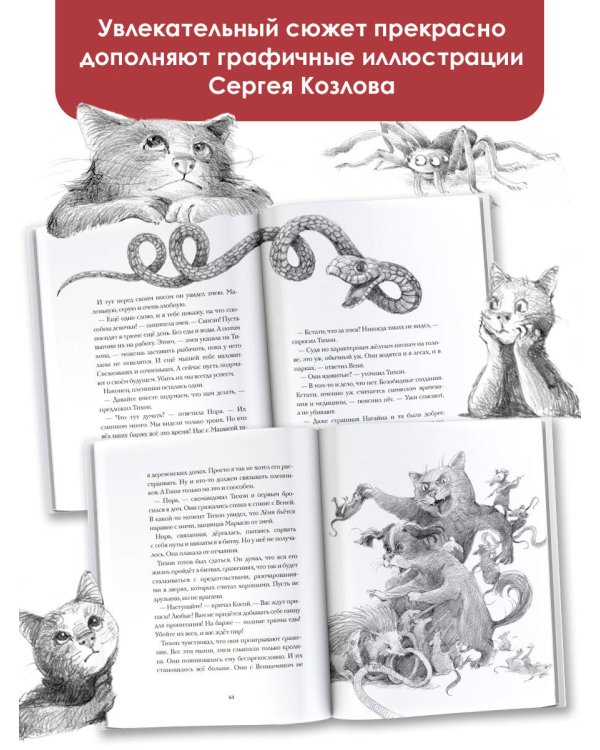 Кот Тихон возвращается домой