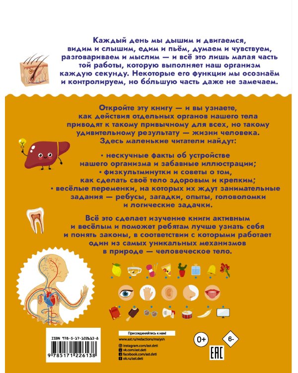 Тело человека