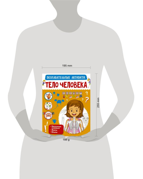 Тело человека