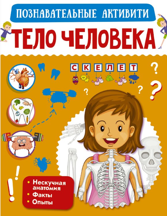 Познавательные активити Тело человека