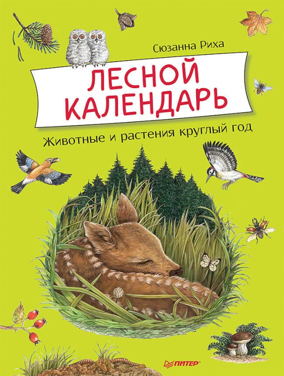 Я хочу все знать! (Питер ИД) Лесной календарь 5+ Животные и растения круглый год