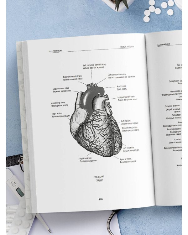 Англо-русский медицинский словарь