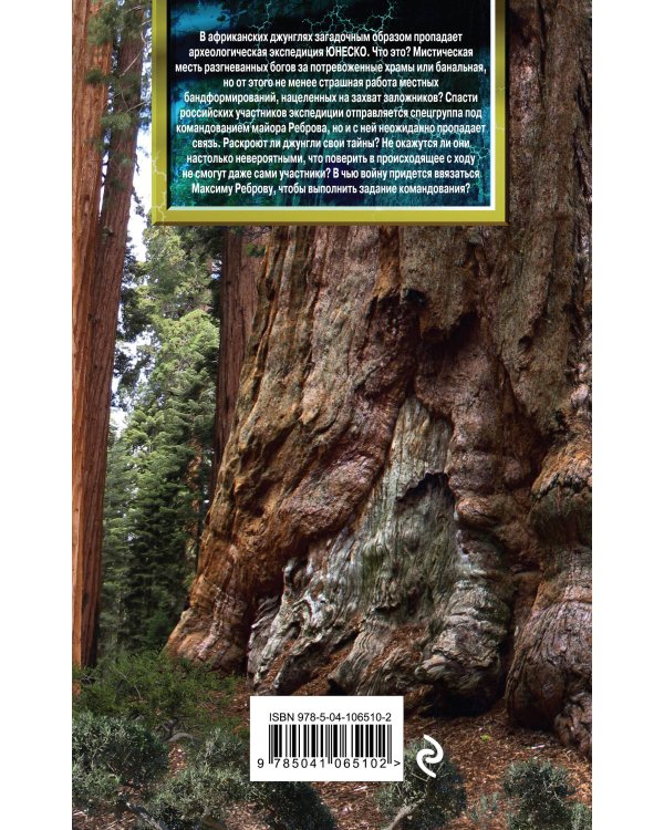 Очень большой лес