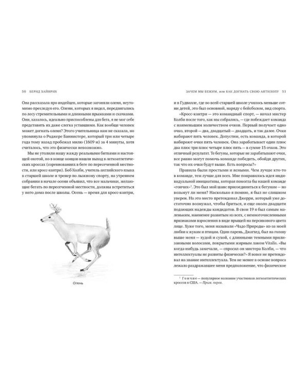 Зачем мы бежим, или Как догнать свою антилопу. Новый взгляд на эволюцию человека
