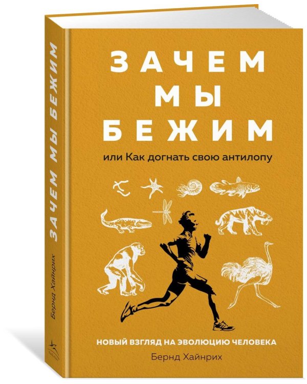 Зачем мы бежим, или Как догнать свою антилопу. Новый взгляд на эволюцию человека