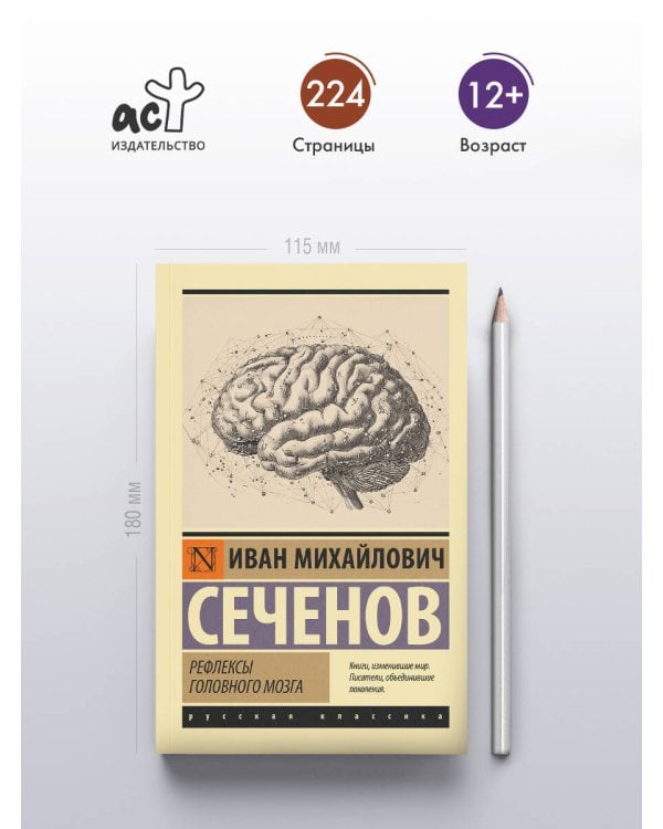 Рефлексы головного мозга
