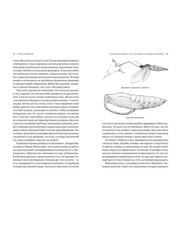 Зачем мы бежим, или Как догнать свою антилопу. Новый взгляд на эволюцию человека