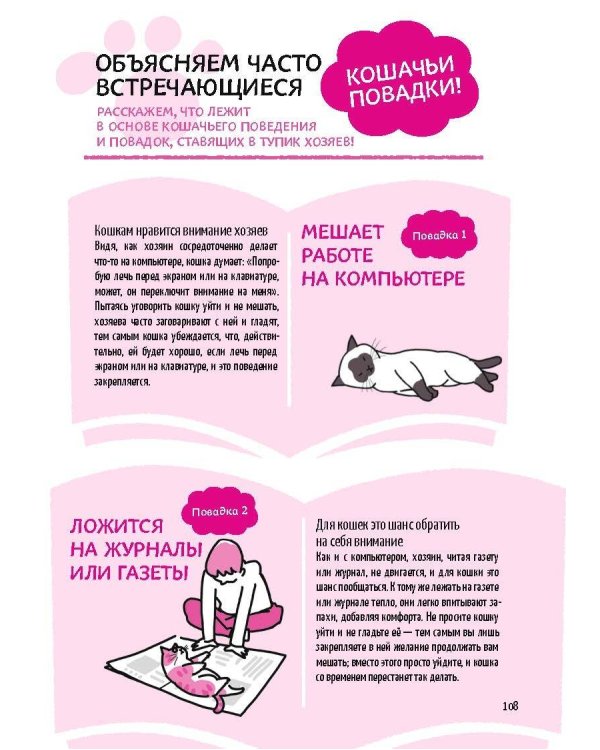 Дополнительное изображение книги «КОТИКИ: манга-руководство по воспитанию»