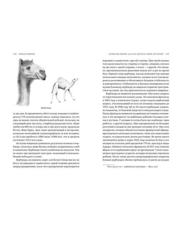 Зачем мы бежим, или Как догнать свою антилопу. Новый взгляд на эволюцию человека