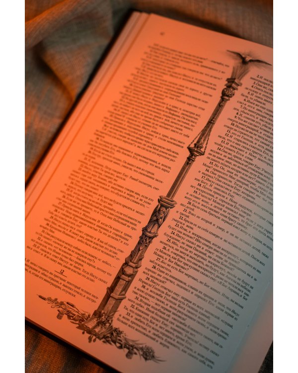 Библия с иллюстрациями Гюстава Доре. Новый Завет, Псалтирь. Синодальный перевод