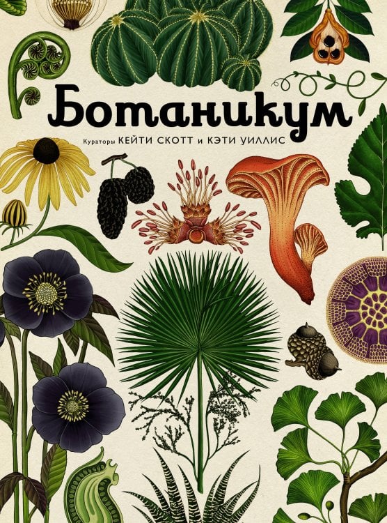 (Азбука) Энциклопедии Ботаникум