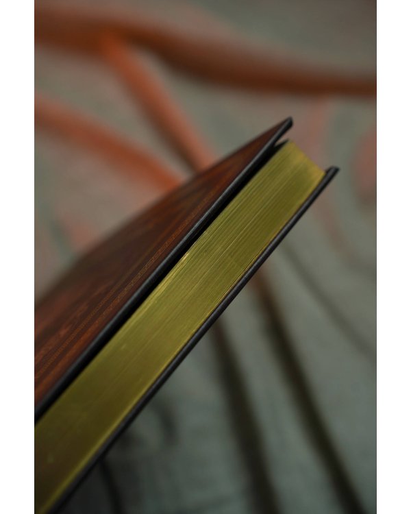 Библия с иллюстрациями Гюстава Доре. Новый Завет, Псалтирь. Синодальный перевод