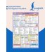 Большой плакат по русскому языку. Продвинутый уровень