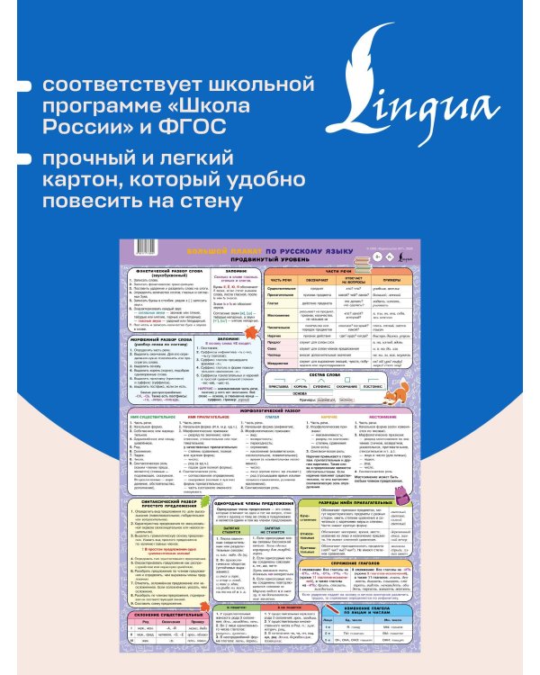 Большой плакат по русскому языку. Продвинутый уровень
