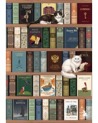 Блокнот. Книжный шкаф. (А5, твердая обложка, 64 л.) (у.н.)