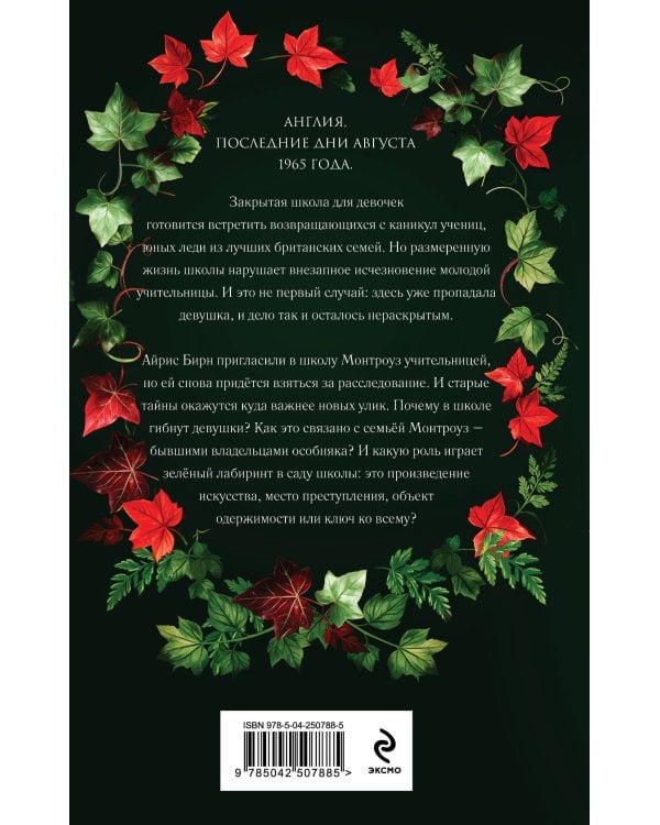 Дополнительное изображение книги «Лабиринт Монтроуза»