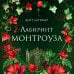 Дополнительное изображение книги «Лабиринт Монтроуза»