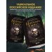 Легендарные компьютерные игры Baldur's Gate. Путешествие от истоков до классики RPG