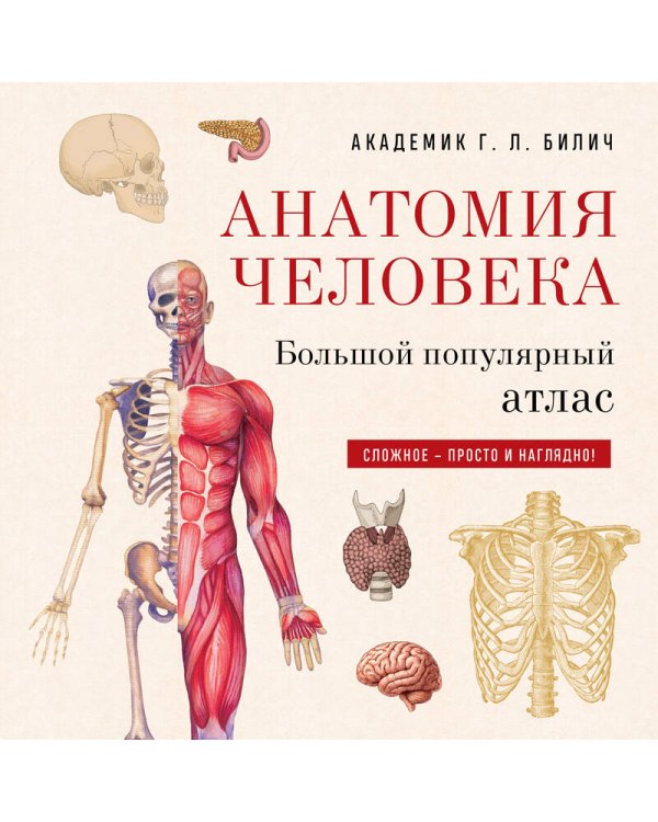 Анатомия человека: большой популярный атлас (новое оформление)