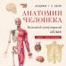 Анатомия человека: большой популярный атлас (новое оформление)